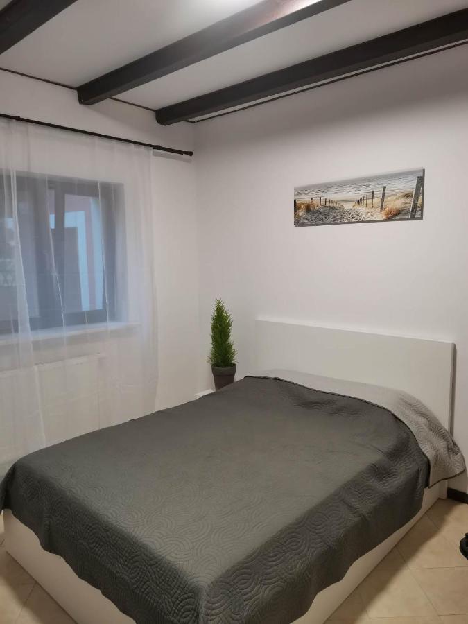 Urocze Studia W Lomiankach, 1- Z Sauna I Tarasem, 2- Z Kominkiem, 3- Ekonomiczne, 7Km Metro Mlociny Warszawa Łomianki Екстериор снимка