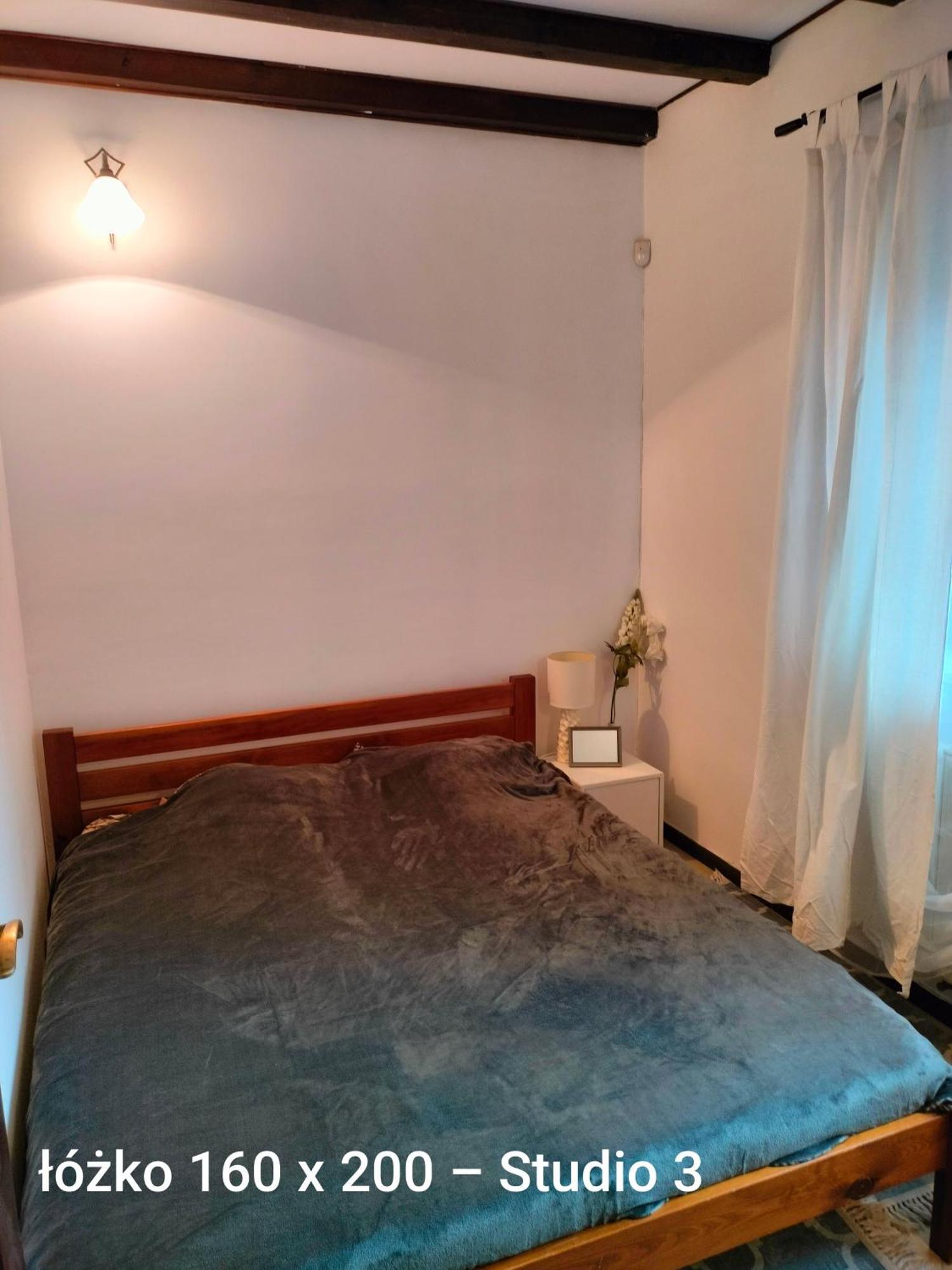 Urocze Studia W Lomiankach, 1- Z Sauna I Tarasem, 2- Z Kominkiem, 3- Ekonomiczne, 7Km Metro Mlociny Warszawa Łomianki Екстериор снимка